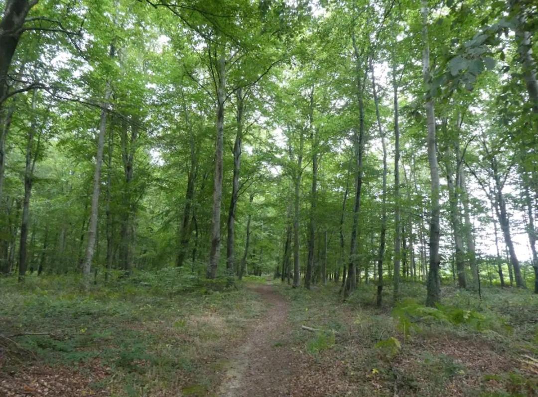 Gite De La Motte Litteau Buitenkant foto