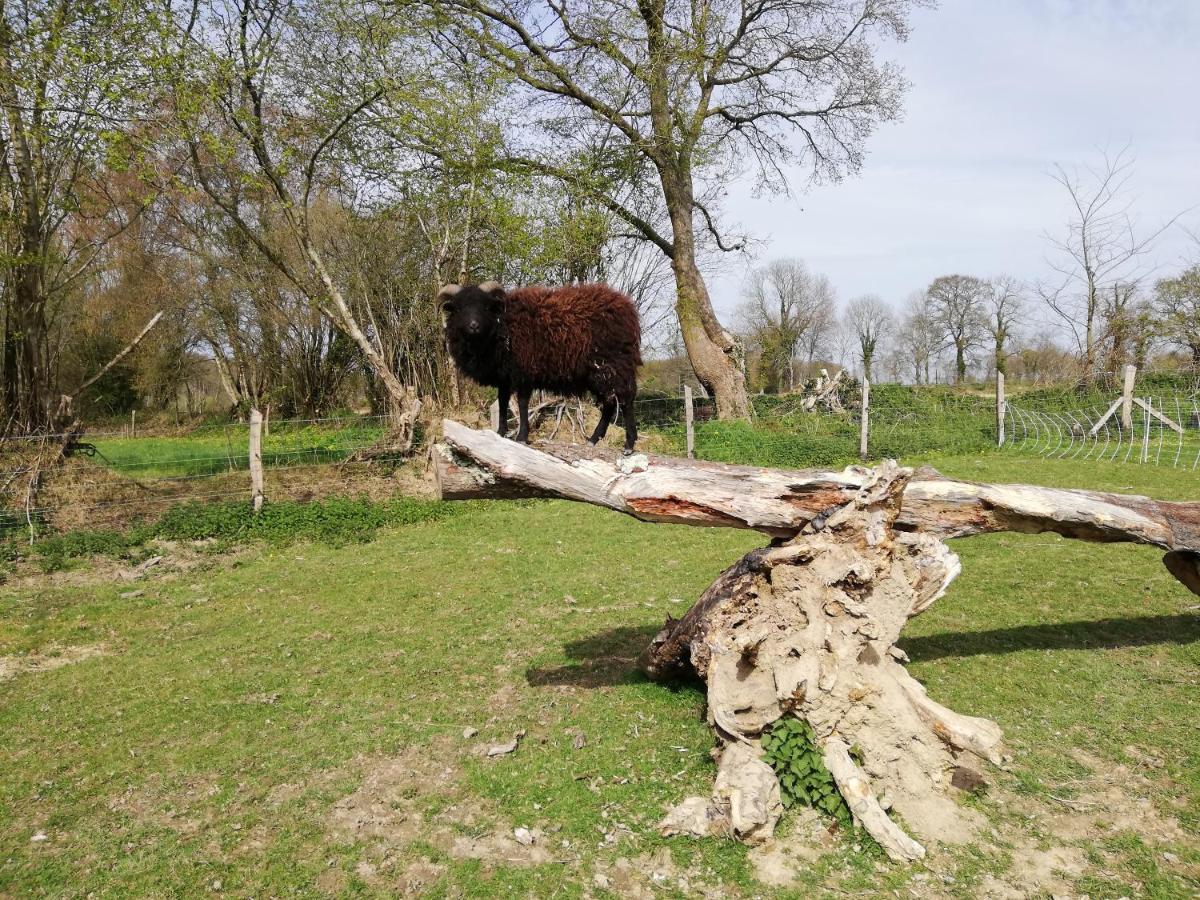 Gite De La Motte Litteau Buitenkant foto